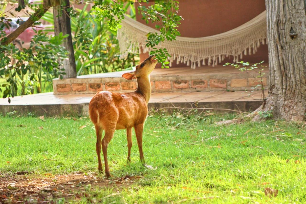 Aymara Lodge Pocone Luaran gambar