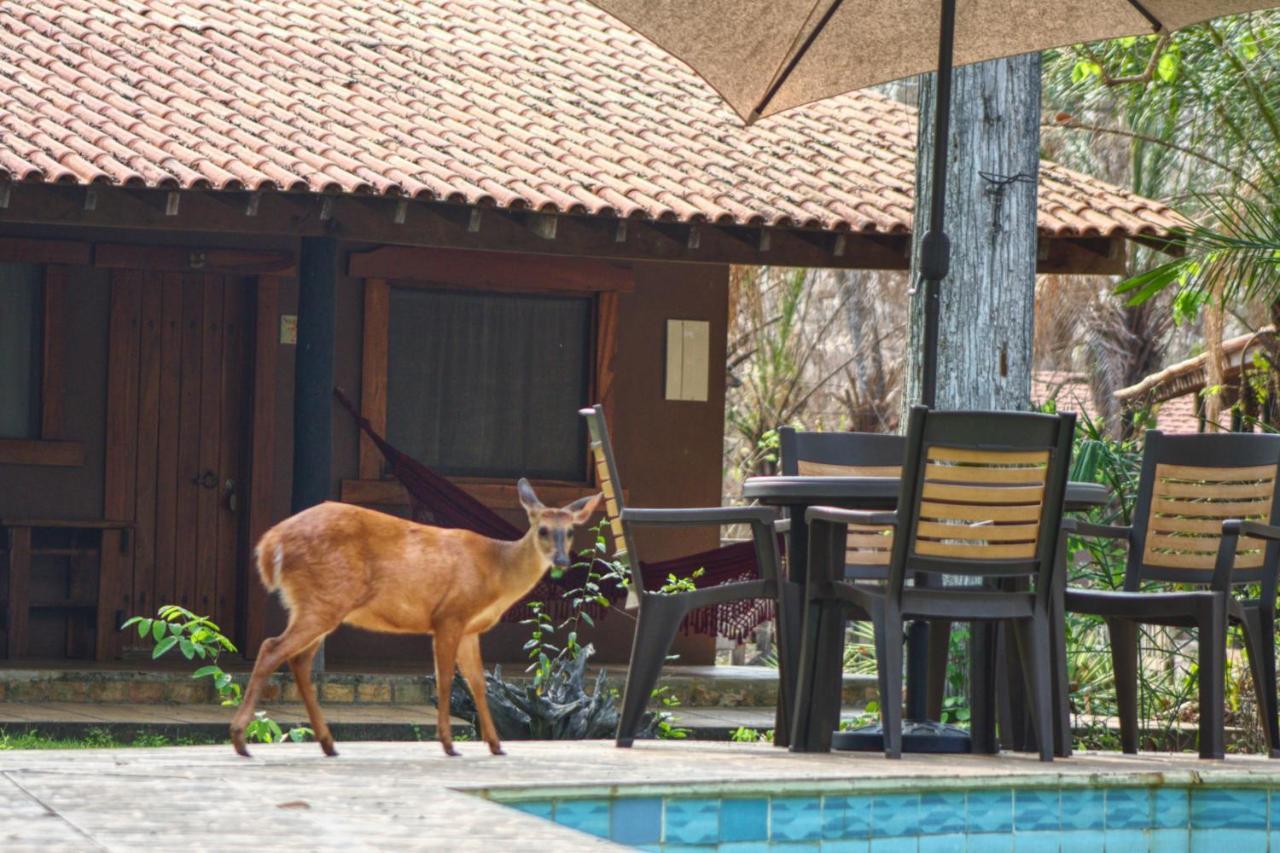 Aymara Lodge Pocone Luaran gambar