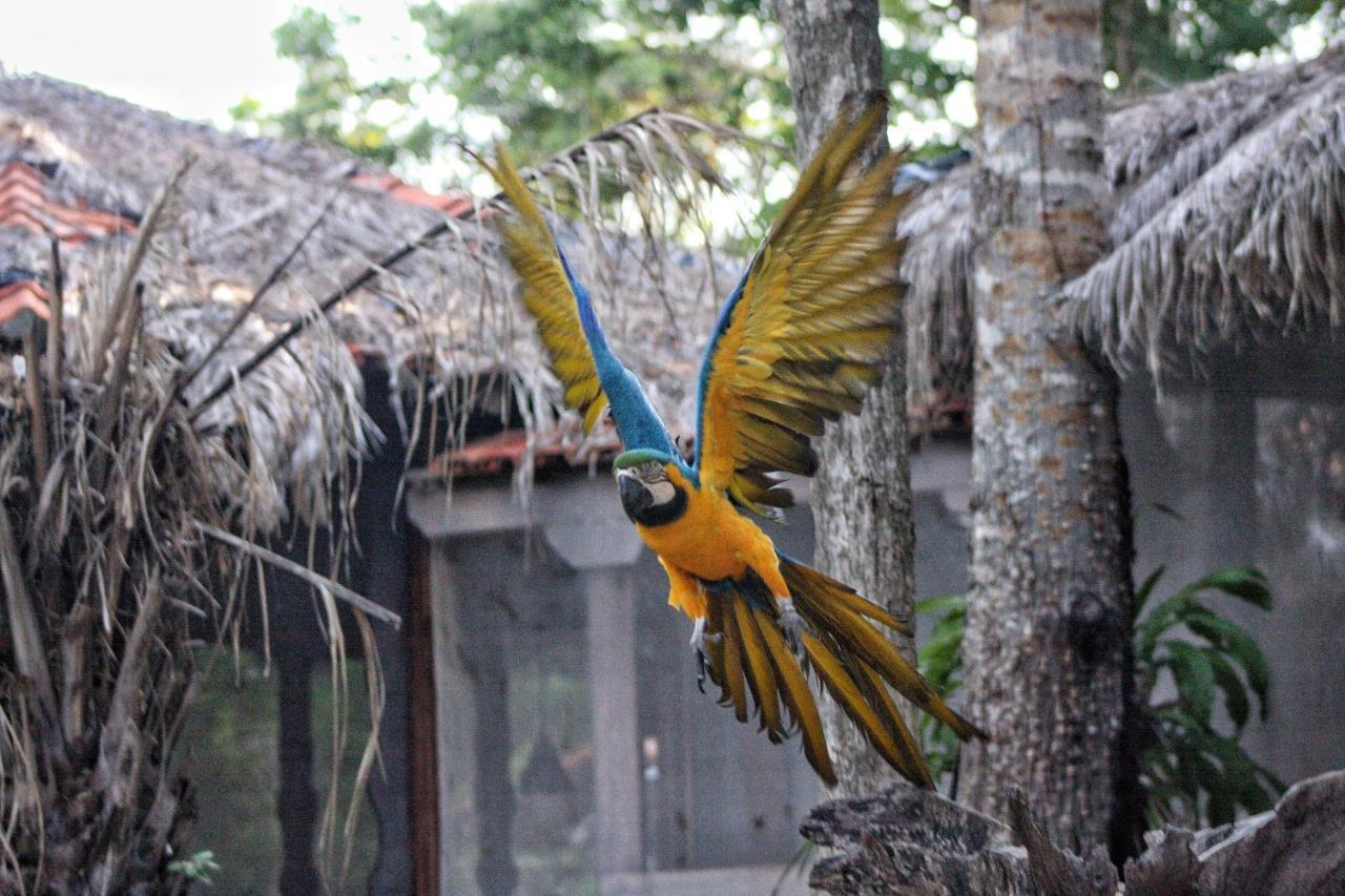 Aymara Lodge Pocone Luaran gambar