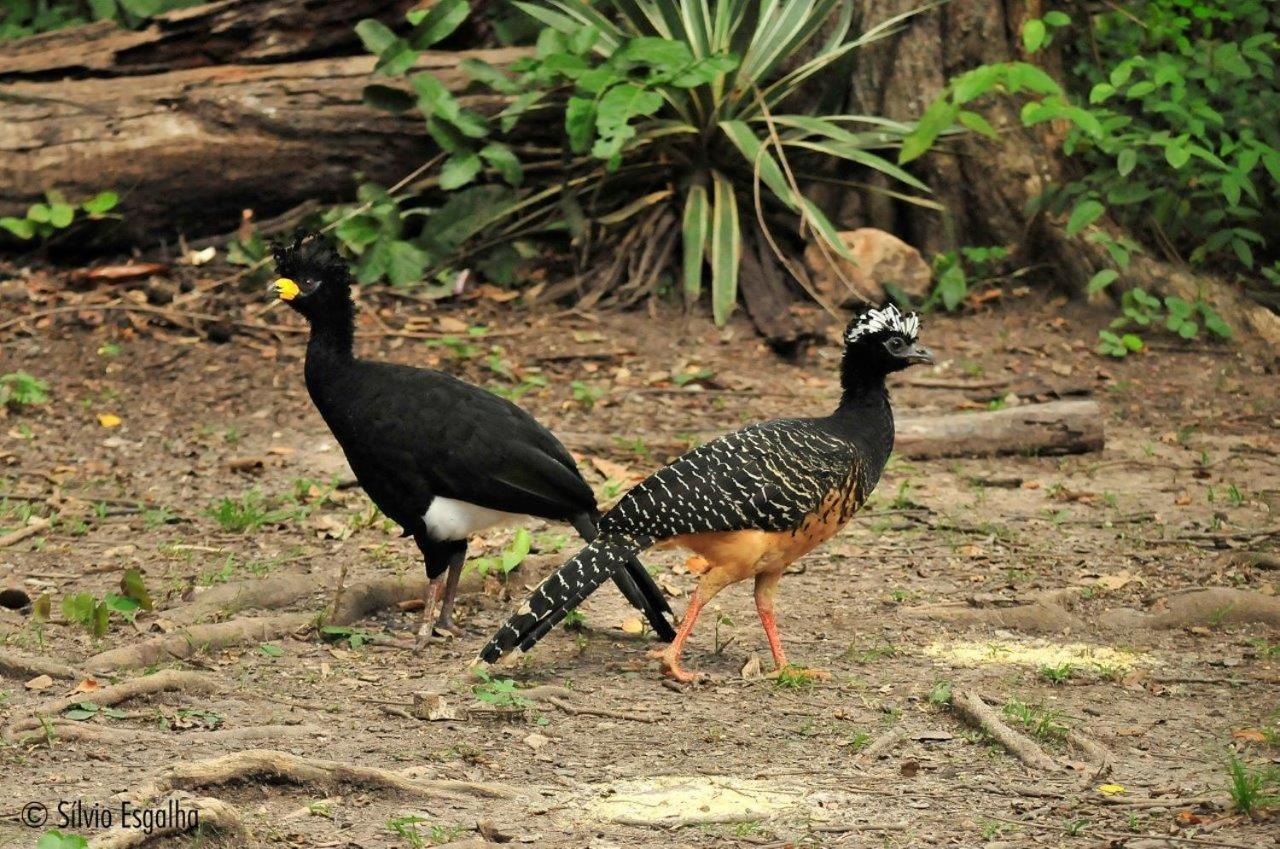 Aymara Lodge Pocone Luaran gambar